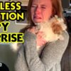 Unbelievable Reaction To Surprise Puppy