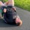 Adult vs. Spring Seat: Stuck in Child’s Play! Epic Fail from the Playground | Try Not to Laugh!