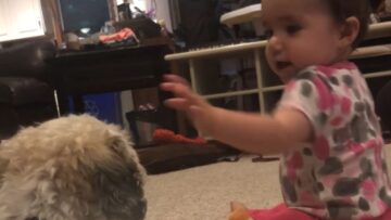 Baby-cant-stop-giggling-with-her-adorable-best-friend-fur-ever.jpg