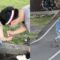 Epic Downhill Skateboard Wipeout: You Won’t Believe What Happens Next! | Try Not to Laugh!