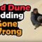 Epic Sandboarding Fail | Try Not to Laugh 😂