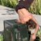 Epic Skateboard Fail: Watch This Wild Trick Go Hilariously Wrong! | Try Not to Laugh!