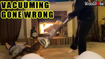 Vacuuming-Chaos-When-Cleaning-Turns-Into-a-Comedy-Show.jpg