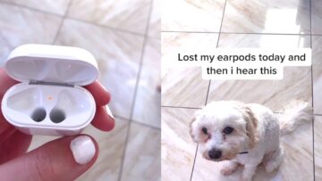 Watch-This-Dogs-Hilarious-AirPods-Snack-Attack-Try-Not.jpg