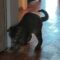 Adorable Cat Enjoys Solo Playtime Against the Wall – A Heartwarming Sight! | Heartsome