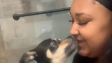 Adorable-Dog-Joins-in-Perfect-Howl-as-Woman-Serenades-with.jpg
