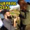 An Epic Proposal Full of Love and Adventure: A Journey to ‘I Do’ | Heartsome