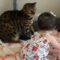 Annoyed Cat’s Adorable Interaction with Baby | Super Cute