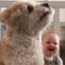 Baby’s pure joy watching her mom play with the dog | Super Cute