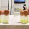 Bald and Egg-cellent: The Hilarious Head Behind These Egg Cups! | Try Not to Laugh!