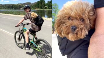 Bike-Riding-Fun-with-Adorable-Dogs-Super-Cute-Pups.jpg