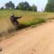 Biker’s Epic Wheelie Wipeout: When Confidence Meets Gravity! | Try Not to Laugh