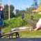 Bold Moves Gone Wrong: Hilarious Confidence Catastrophes | Try Not to Laugh!