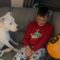 Bully Gets Served: Dad’s Balloon Prank Leaves Him Red-Faced! | Try Not to Laugh