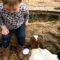 Confident baby girl charms with adorable response to baby goats’ bleat | Super Cute