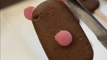 Creative-cake-artists-adorable-Animal-Cakesickles-make-winter-season-super.jpg