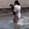 Dachshund pup’s daring swim to save owner | Almost swept away | Super Cute