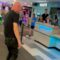 Dad’s Limbo Fail: When Confidence Takes a Hilarious Dive! | Try Not to Laugh