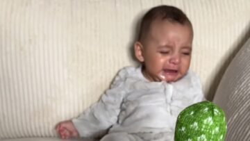 Dancing-cactus-toy-saves-the-day-Baby-mesmerized-by-funny.jpg