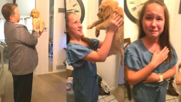 Daughters-Heartwarming-Puppy-Surprise-Adorable.jpg