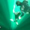 Discover the Magic of Freediving in Cancun: A Journey to Transform Your Soul | Heartsome