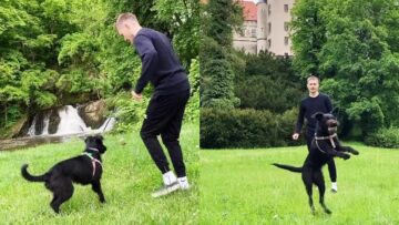 Dog-Owners-Adorable-Fetch-Game-Super-Cute.jpg