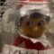 Elf on the Shelf Cranks Up the Fart Humor with a Hilarious Surprise! | Try Not to Laugh