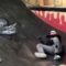Epic BMX Blunders That Will Leave You in Stitches | Try Not to Laugh!