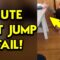 Epic Persian Cat Fail: The Great Table Jump Gone Wrong! | Try Not to Laugh