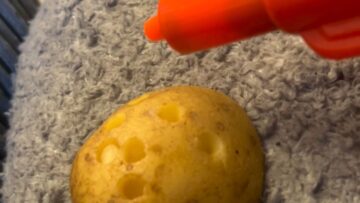 Epic-Potato-Launch-Unwitting-Partner-Becomes-Target-in-Hilarious-Spud.jpg