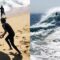 Epic Skimboarding Faceplant at The Wedge | Can You Keep a Straight Face? | Funny Fail