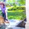 Epic Tumble: Woman Takes an Unplanned Dive over Dog! | Try Not to Laugh