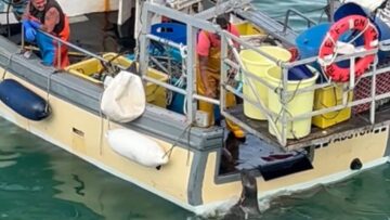 Fisherman-Shares-Love-and-Food-with-a-Delightful-Seal.jpg