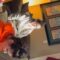 Girl’s Emotional Christmas Joy Unfolds with a Surprising Key Discovery | Heartwarming