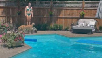 Golden-retrievers-adorable-pool-swims-with-owner-Cute.jpg