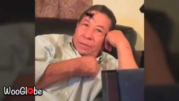 Grandpas-Hilarious-Spider-Filter-Reaction-Will-Leave-You-in-Stitches.jpg