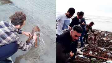 Heroes-Unite-Brave-Souls-Rescue-Dog-from-Raging-Floods.jpg