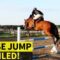 Horse Takes a Tumble, Then Shocking Discovery Leaves Owner Speechless! | Try Not to Laugh