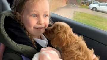 Joyful-7-Year-Old-Bursts-into-Happy-Tears-as-Shes-Surprised-with.jpg