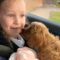Joyful 7-Year-Old Bursts into Happy Tears as She’s Surprised with Her Dream Puppy! | Heartwarming