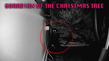 Keep-Your-Christmas-Tree-Safe-From-Feline-Mischief-–-A.jpg