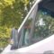 London Cabby vs. Speedy Van Driver: A Hilarious Showdown! | Try Not to Laugh