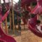 Oops! Watch This Daredevil Pup Take a Hilarious Slide to Nowhere | Try Not to Laugh!
