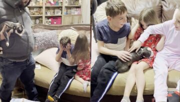 Parents-Gift-Kids-a-Cuddly-Christmas-Pup-Their-Priceless.jpg