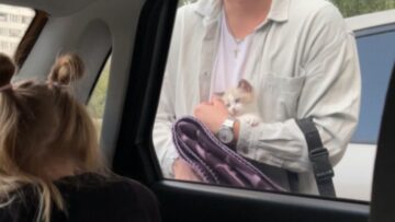 Parents-Surprise-Daughter-with-Her-Very-Own-Kitty-Heartwarming.jpg