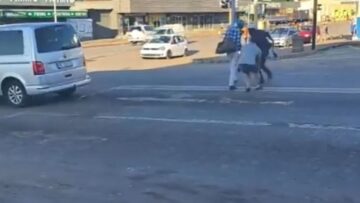 Pedestrian-Panic-Air-Horn-Surprise-Will-Leave-You-in-Stitches.jpg