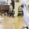 Sneaky Cockatoo’s Adorable Walk | Watch the cutest bird strut its stuff!