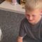 Surprise! Little boy’s birthday box reveals adorable new best friend | Super Cute
