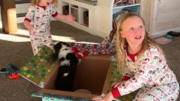 Surprise-Our-Long-Awaited-Puppy-Is-Here-Watch-Our-Joyful-Reactions.jpg