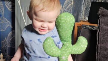 Toddler-in-stitches-as-Cactus-Toy-copies-him-Super.jpg